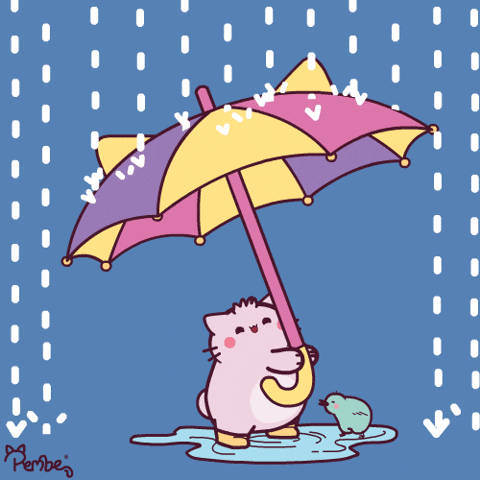 Rainy Day Rain GIF by Pembe
