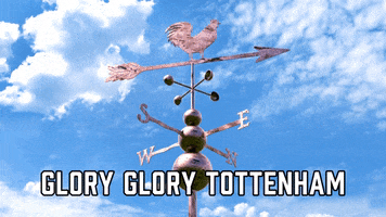 Tottenham Hotspurs Sport GIF by Sealed With A GIF