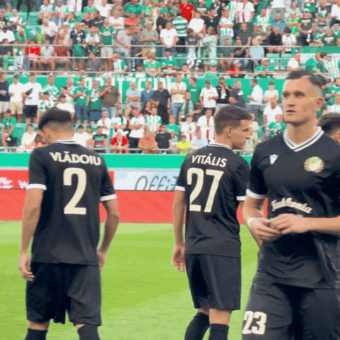 Football GIF by ETOfcofficial