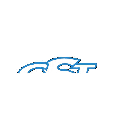 CST Logistica Trasporti Sticker