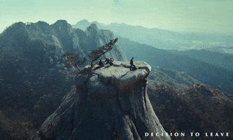 Park Chan-Wook Mountain GIF by Madman Films
