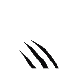 Sticker by La Côale