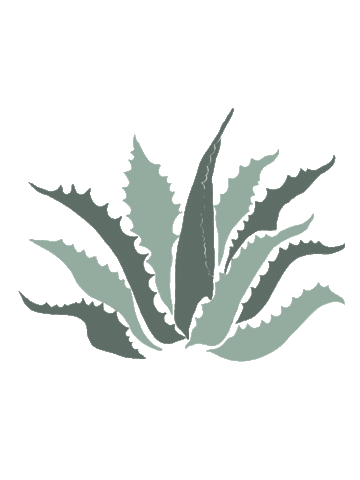 Plant Agave Sticker by KitchenAid