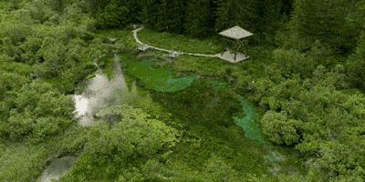 World Olivet Assembly GIF