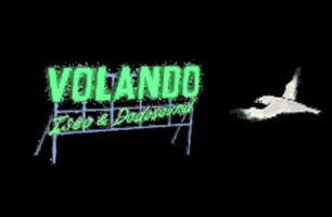 Volando GIF