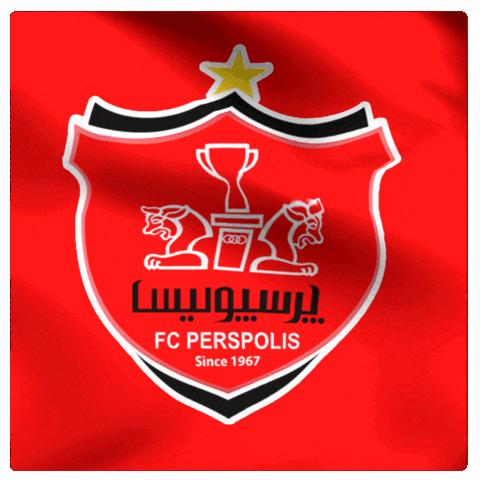 Football Sticker GIF