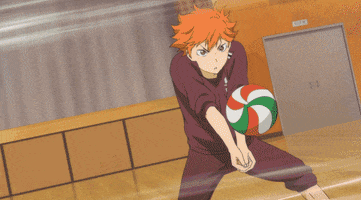 volleyball GIF