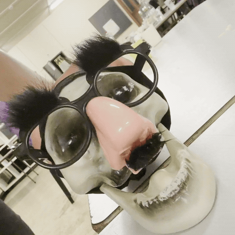 Skull Laughing GIF