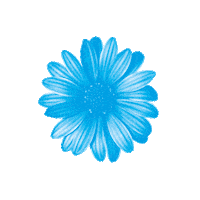 Flowers Png Gif - IceGif