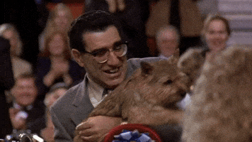 Eugene Levy Reaction GIF by TIFF