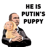 Donald Trump Puppy GIF by Creative Courage