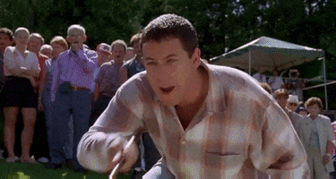 Alligator GIF
