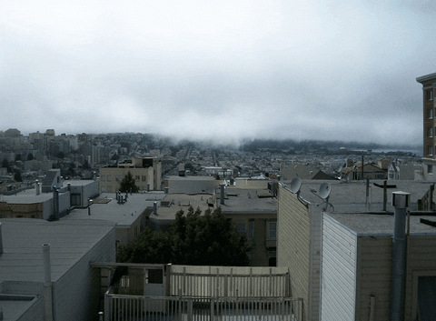 fog