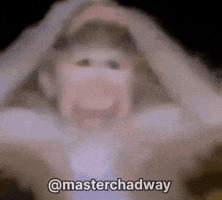 Monkey GIF
