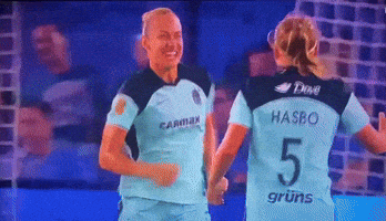 Gotham Fc GIF