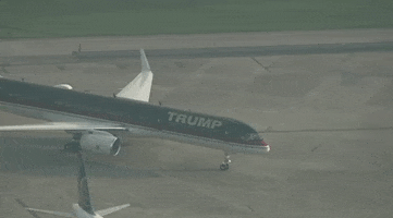 Donald Trump Arrest GIF by GIPHY News