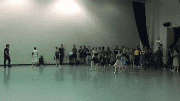 Ballet  GIF