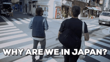 playbacksociety  GIF