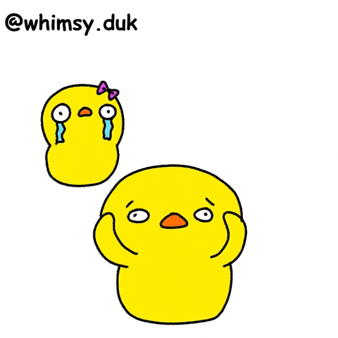 Couple Duck GIF