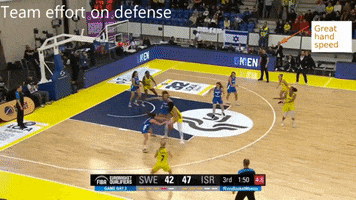 EuroBasket women basketball israel women national team hustle basketball daniel karsh GIF