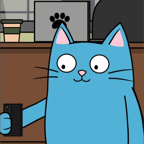 Blue Cat Wide Eyes GIF