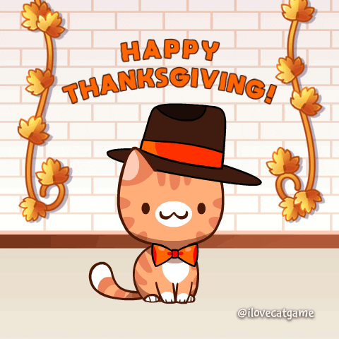 Give Thanks Cat GIF by Mino Games