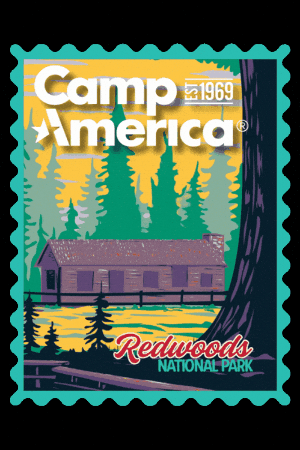 Redwoods GIF by Camp America
