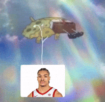 Arkansas Razorbacks Basketball GIF