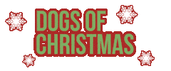 Dog Christmas Sticker by Apawture Studios Pet Photography