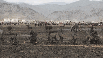 north korea animation GIF by weinventyou