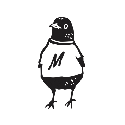 Maverick Race Sticker