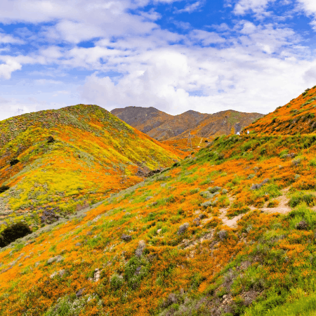 Vajira Samararatne GIF