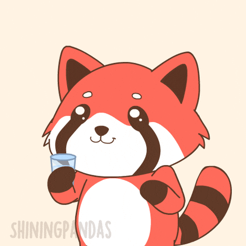 Drink More Red Panda GIF