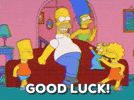 100.gif?cid=20e14a2aui7v6yb2v5ddfbwo92gkzzfg4d1t5yksaoif39cn&rid=100.gif&ct=g