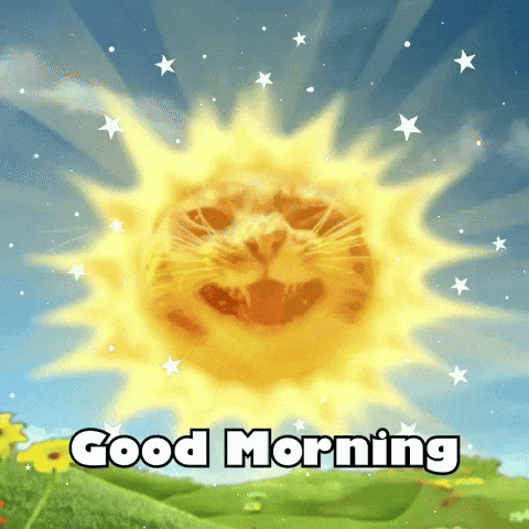 Good Morning Cat GIF
