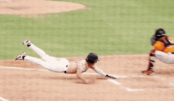 Baseball Win GIF by UCF Knights