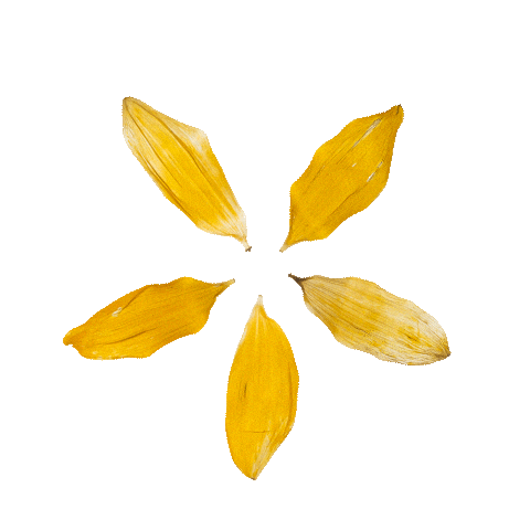 Summer Sticker by pureencapsulations_de