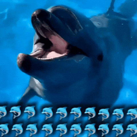 Dolphin GIF