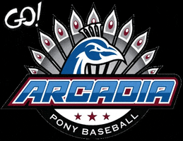 Aall GIF by Arcadia Pony Baseball