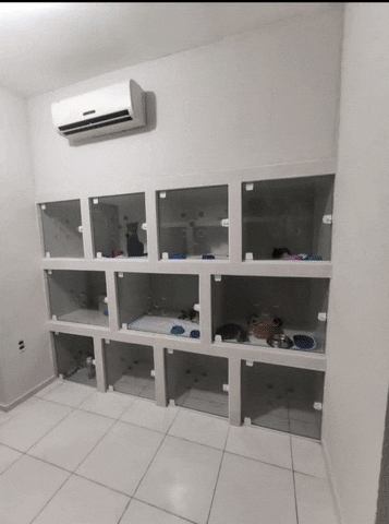 Clinica Toque de Amor Veterinaria GIF