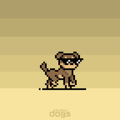 Lets Go Deal With It GIF by Doginal Dogs