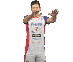 Volleyball Sticker by Gwardia Wroclaw