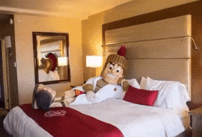 Southern Cal Usc GIF