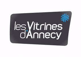 Vitrinesannecy GIF