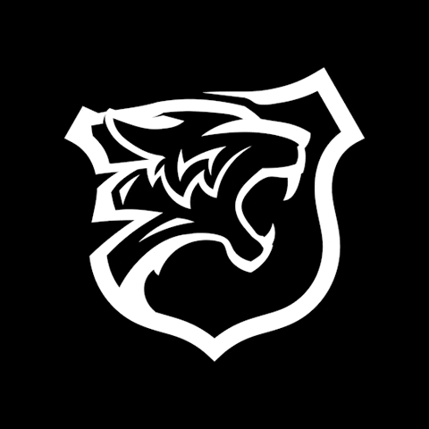 American Usa GIF by TigerTough