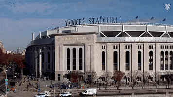 New York Sport GIF by NYCFC