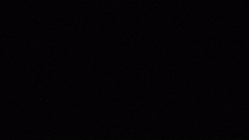 Dale Play Records GIF