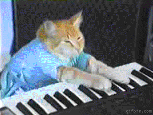 Keyboard-cat GIFs - Get the best GIF on GIPHY