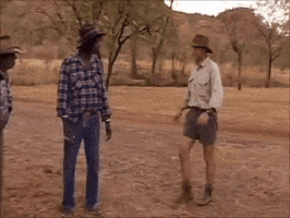 highryan  GIF