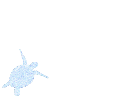 Sea Creature Beach Sticker